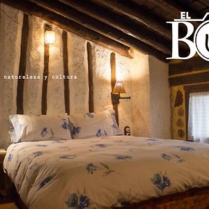 Suite con Cama King